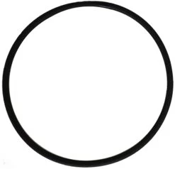 O-Ring For Pool Frog Above Ground Caps