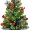 2' Pre-Lit Classic Spruce Artificial Tree With Cones, Red Berries And 35 Battery-Operated Warm White Lights -Outdoor Garden Living 088226
