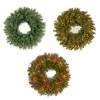 24" Albany Fir Artificial Christmas Wreath 2 24" Albany Fir Artificial Christmas Wreath -Outdoor Garden Living 088605 2