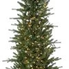 6' Pre-Lit LED Artificial Natural Cut Devon Pine Potted Entrance Tree 2 6' Pre-Lit LED Artificial Natural Cut Devon Pine Potted Entrance Tree -Outdoor Garden Living 094334