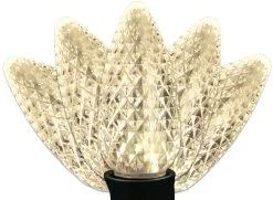 Set Of 75 Professional Grade LED C9 Lights 10 Set Of 75 Professional Grade LED C9 Lights -Outdoor Garden Living 095571 2