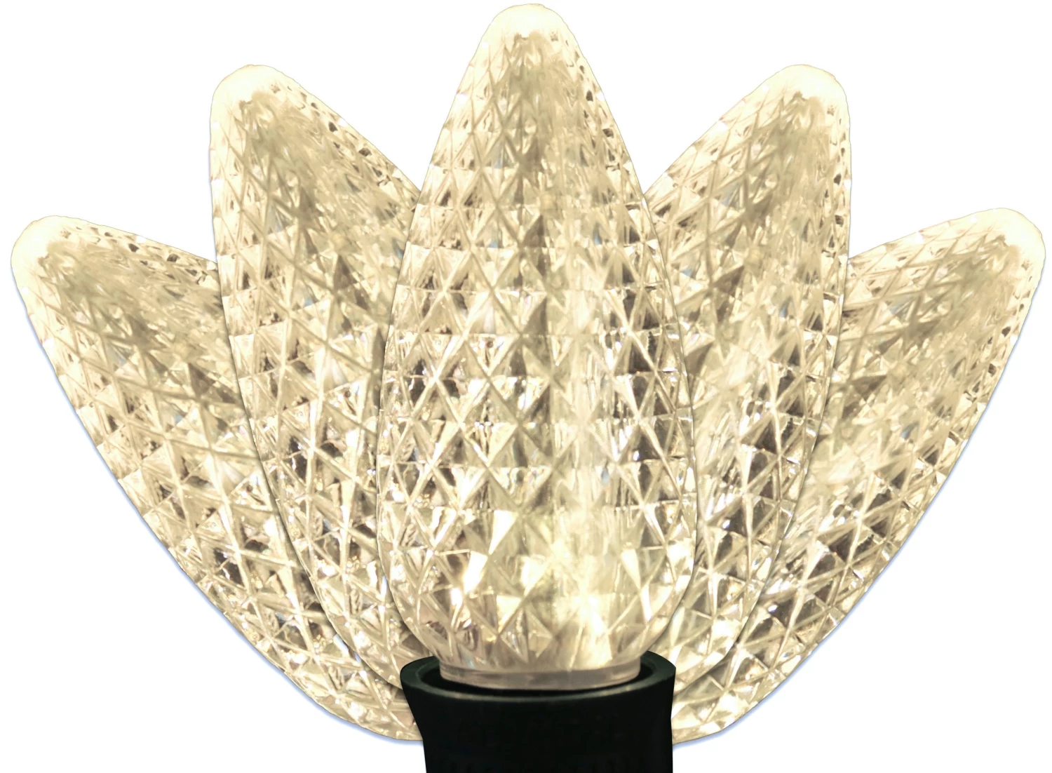 Set Of 75 Professional Grade LED C9 Lights 4 Set Of 75 Professional Grade LED C9 Lights - Image 2