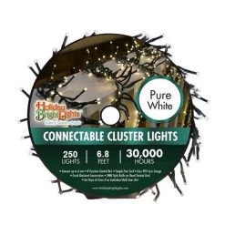 Set Of 250 LED Connectable Cluster Lights (6.5 Ft) -Outdoor Garden Living 095590