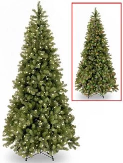 Colorado Fir Narrow Dual Color LED PowerConnectâ„¢ Pre-Lit Artificial Christmas Tree