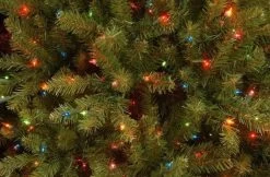 Colorado Fir 6.5' Dual Color PowerConnect™ Pre-Lit Artificial Christmas Tree 11 Colorado Fir 6.5' Dual Color PowerConnect™ Pre-Lit Artificial Christmas Tree -Outdoor Garden Living 227124 3