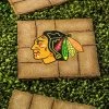 Team Sports America Chicago Blackhawks Decorative Garden Stepping Stone 1 Team Sports America Chicago Blackhawks Decorative Garden Stepping Stone -Outdoor Garden Living 232371 2