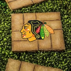 Team Sports America Chicago Blackhawks Decorative Garden Stepping Stone