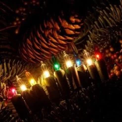 200 Traditional LED Mini Lights On A Reel By Sylvania 12 200 Traditional LED Mini Lights On A Reel By Sylvania -Outdoor Garden Living 40f36485aee5c05f5fb05292e74f2c75