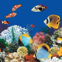 48"-54" Caribbean Above Ground Swimming Pool Overlap Liner