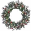 Windsor Glazier Pre-Lit Artificial Wreath -Outdoor Garden Living 839778
