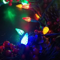 Set Of 200 LED C6 Christmas Lights On A Reel From Sylvania 13 Set Of 200 LED C6 Christmas Lights On A Reel From Sylvania -Outdoor Garden Living 8dd87fc9c4eea4eb40e7f36fddcfe06e