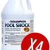 Champion 12.5% Liquid Chlorine Pool Shock - Case Of 4 -Outdoor Garden Living 971102