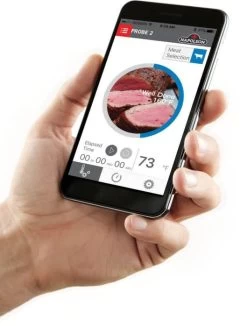 Napoleon 2-Piece Probe Set For ACCU-PROBE™ Bluetooth Thermometer -Outdoor Garden Living 989315 4