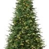 Parkview Fir 7.5' Warm White LED Pre-Lit Artificial Christmas Tree 1 Parkview Fir 7.5' Warm White LED Pre-Lit Artificial Christmas Tree -Outdoor Garden Living 989813