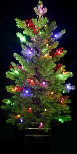 3.5' Frasier Fir Potted Artificial Foyer Tree With Color-Changing Starry LED Globe Lights -Outdoor Garden Living 990008 2