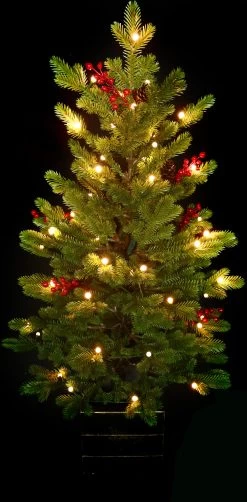 3.5' Frasier Fir Potted Artificial Foyer Tree With Color-Changing Starry LED Globe Lights -Outdoor Garden Living 990008