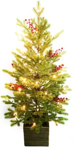 3.5' Frasier Fir Potted Artificial Foyer Tree With Color-Changing Starry LED Globe Lights -Outdoor Garden Living 990008 3