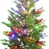 3.5' Frasier Fir Potted Artificial Foyer Tree With Color-Changing Starry LED Globe Lights -Outdoor Garden Living 990008 4