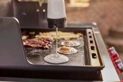 Weber Genesis Full-Size Griddle – 300 Series 18 Weber Genesis Full-Size Griddle – 300 Series -Outdoor Garden Living 990092 8