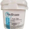ProTeam 1" Pure Tabs Sanitizer For Pools - 5 Lbs. -Outdoor Garden Living 992564