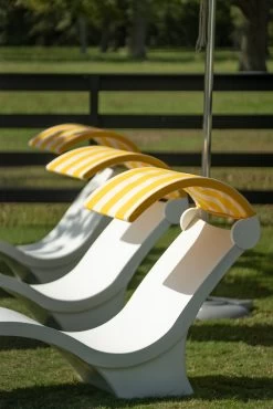 Signature In-Pool Chaise Lounge Chair Shade From Ledge Lounger -Outdoor Garden Living 993799 3