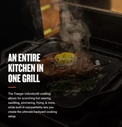 Traeger Timberline Wi-Fi Controlled Wood Pellet Grill With WiFire -Outdoor Garden Living 993862 7