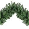 9' Non-Lit Albany Fir Christmas Garland 2 9' Non-Lit Albany Fir Christmas Garland -Outdoor Garden Living 994255
