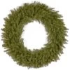 48" Albany Fir Non-Lit Artificial Christmas Wreath -Outdoor Garden Living 994258