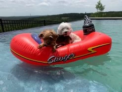 Swimline Kids Inflatable Stinger Speedboat Float -Outdoor Garden Living 996065 3 3ae98ebd 02f4 4990 8c0d 4beeccfb83c4