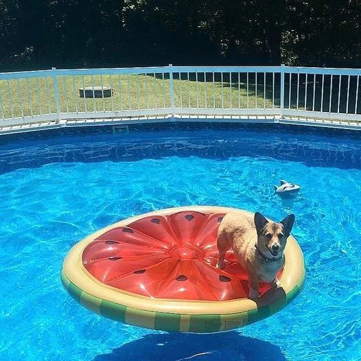 Swimline's 60" Inflatable Water Island 8 Swimline's 60" Inflatable Water Island - Image 6