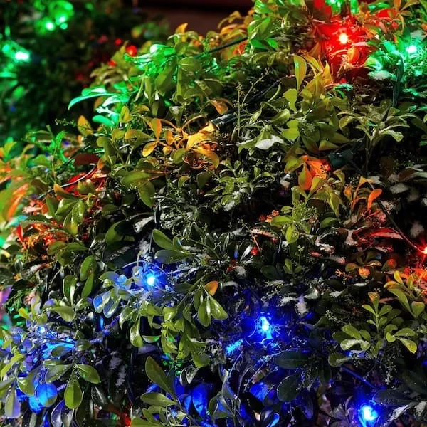 4' X 6' Dome Net Style LED Shrub Christmas Lights 9 4' X 6' Dome Net Style LED Shrub Christmas Lights - Image 7