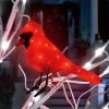 6" LED Cardinal Decoration With Clipped Feet -Outdoor Garden Living 997482 80534e80 06e1 4ea6 b989 91988a88b410