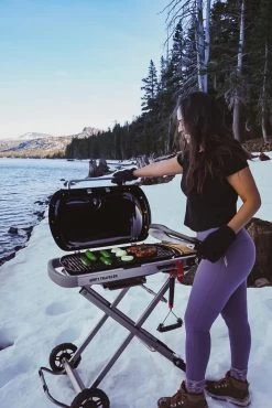 Weber Traveler LP Gas Grill 9010001 26 Weber Traveler LP Gas Grill 9010001 -Outdoor Garden Living 997694 a2f06541 70dd 4182 863c 9ad6979d9e5c