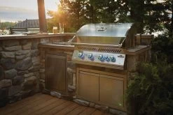 Napoleon Built-In 700 Series 32 RB With Infrared Rear Burner -Outdoor Garden Living 998090 3 17049234 65d4 4d6f 9584 ecd5c79f64d6