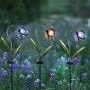 Solar Metal Glass Flower Stakes -Outdoor Garden Living 998162 2