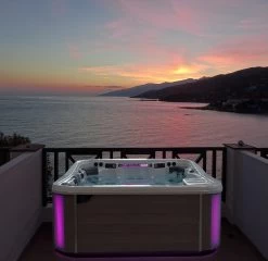 *art Artesian Spas Quail Ridge Artesian Elite Hot Tub -Outdoor Garden Living ARTQUAIL19 5