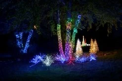 36" LED Twinkle Light Burst Twig Bush Light-Up Wire Decor 38 36" LED Twinkle Light Burst Twig Bush Light-Up Wire Decor -Outdoor Garden Living LED LBRST140 BPWTW lifestyle