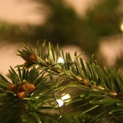 Set Of 100 Battery-Operated Color-Changing Micro LED Lights (Warm White To Multi) -Outdoor Garden Living MIC GRN 100 WWMU MU 2