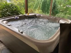 Hot Spring Highlife Collection Prodigy Hot Tub -Outdoor Garden Living Prodigy 2